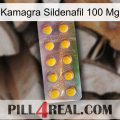 Kamagra Sildenafil 100Mg new11